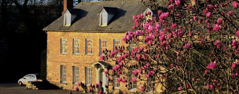 Trereife House Otel Hikkaduwa Dış mekan fotoğraf